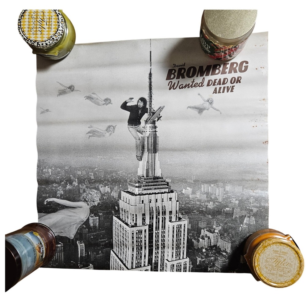 David Bromberg Wanted Dead or Alive 20x20 Album Promo Poster Vintage 1970s Rock